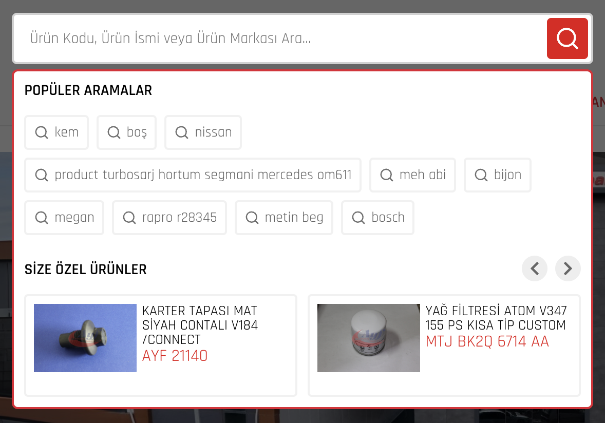 Akıllı Arama